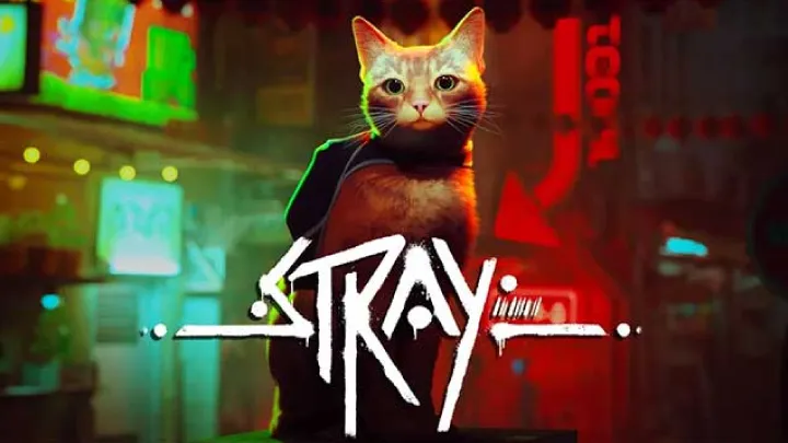 The Depiction of Loneliness and Connection in Stray