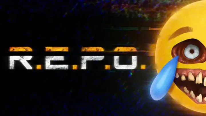 Repo: Understanding the Impact and Evolution of Repository Management in Software Development
